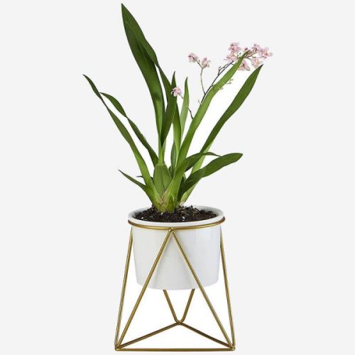 Outdoor Planters Flower Pots