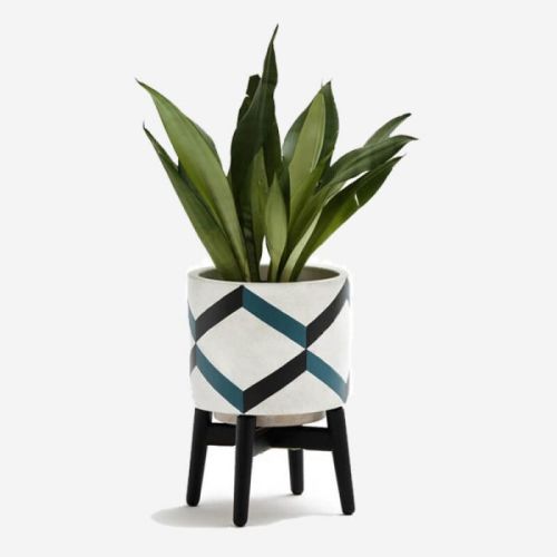 Round Flower White Pots